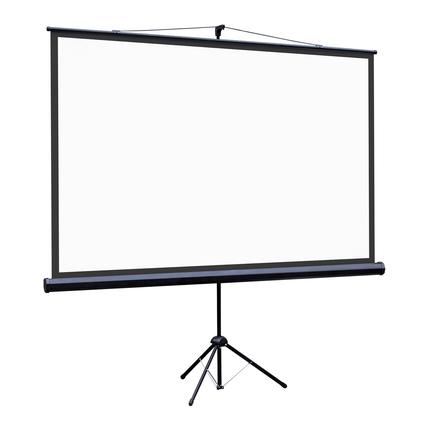 [LEV-100115] Экран на штативе Lumien [Eco View] 130x227см (раб.область124х221 см) (100") Matte White 16:9, цвет корпуса черный