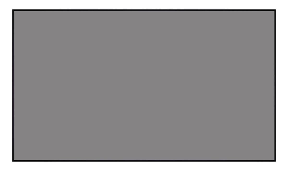 [LCTB-100202] Экран Lumien Cinema Thin Bezel